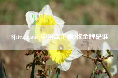 高密中国拿下第9枚金牌是谁