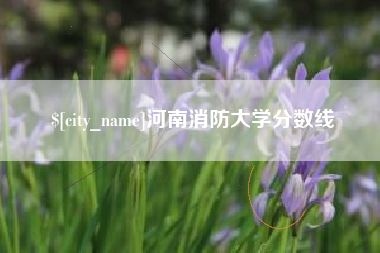 高密河南消防大学分数线