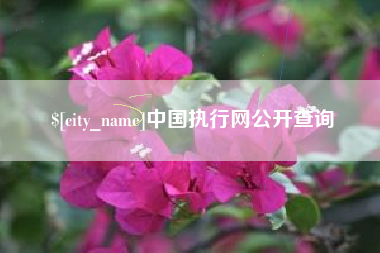 高密中国执行网公开查询