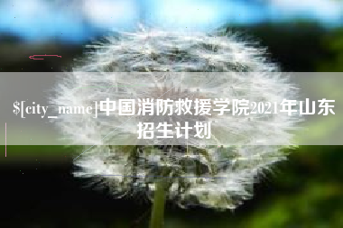 高密中国消防救援学院2021年山东招生计划