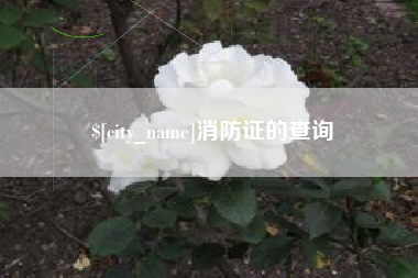 高密消防证的查询