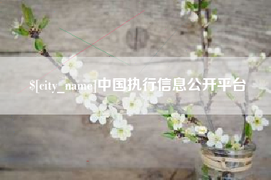 高密中国执行信息公开平台