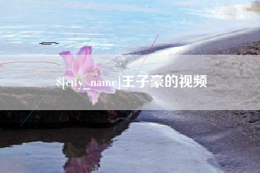 高密王子豪的视频