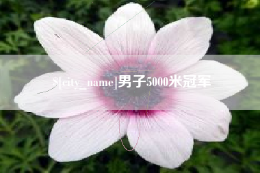 高密男子5000米冠军