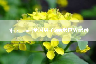 高密全国男子5000米世界纪录
