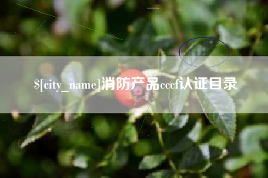 高密消防产品cccf认证目录