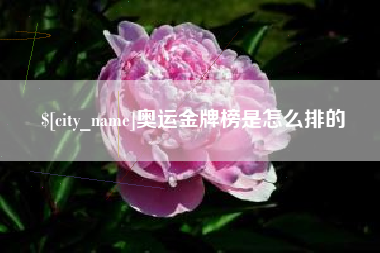 高密奥运金牌榜是怎么排的