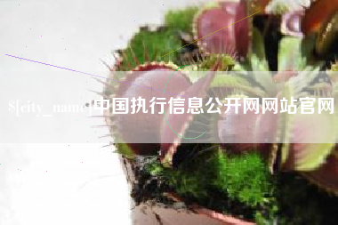 高密中国执行信息公开网网站官网
