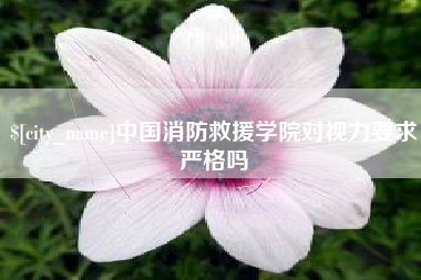高密中国消防救援学院对视力要求严格吗