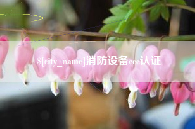 高密消防设备ccc认证