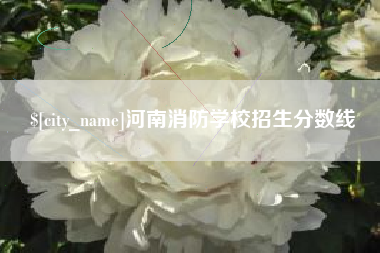高密河南消防学校招生分数线