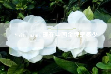 高密现在中国金牌是多少