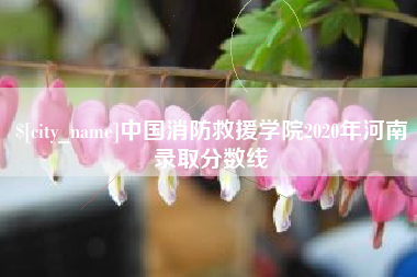 高密中国消防救援学院2020年河南录取分数线
