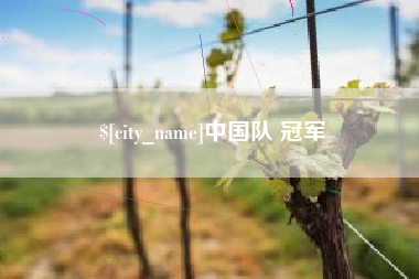 高密中国队 冠军