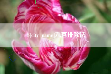 高密九宫排除法