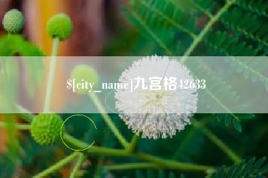 高密九宫格42633
