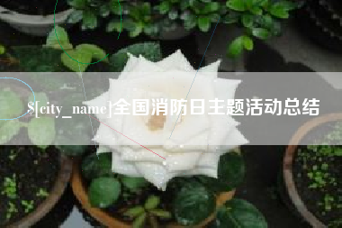 高密全国消防日主题活动总结