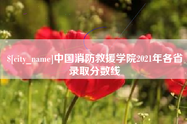 高密中国消防救援学院2021年各省录取分数线