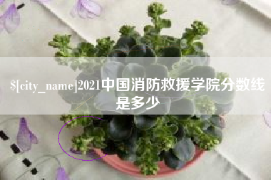 高密2021中国消防救援学院分数线是多少