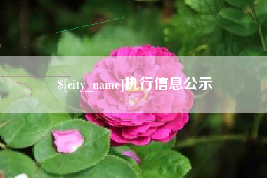 高密执行信息公示