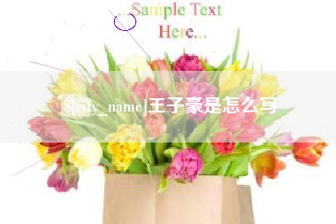 高密王子豪是怎么写