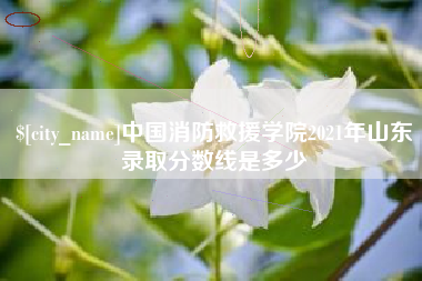 高密中国消防救援学院2021年山东录取分数线是多少