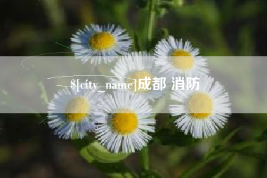高密成都 消防