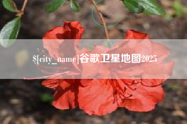 高密谷歌卫星地图2025