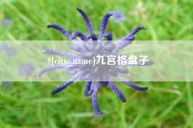 高密九宫格盘子
