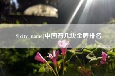 高密中国有几块金牌排名
