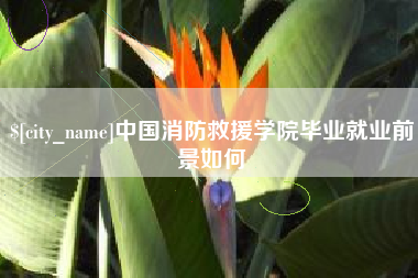 高密中国消防救援学院毕业就业前景如何