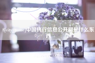 高密中国执行信息公开网是什么东西