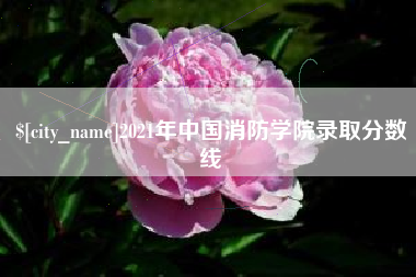 高密2021年中国消防学院录取分数线
