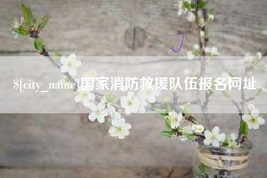 高密国家消防救援队伍报名网址