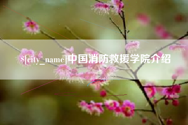 高密中国消防救援学院介绍
