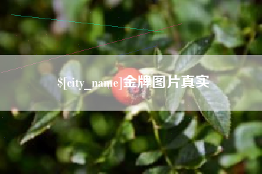 高密金牌图片真实