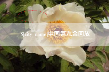 高密中国第九金回放