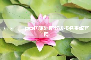 高密2020国家消防救援报名系统官网
