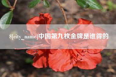 高密中国第九枚金牌是谁得的