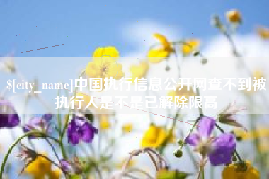 高密中国执行信息公开网查不到被执行人是不是已解除限高