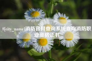 高密消防官网查询系统查询消防职业资格证书