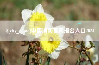 高密中国消防官网报名入口2024