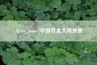 高密中国夺金大项是谁