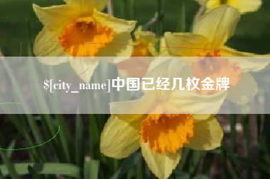 高密中国已经几枚金牌