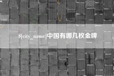 高密中国有哪几枚金牌