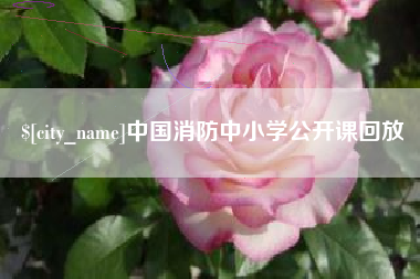 高密中国消防中小学公开课回放