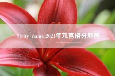 高密2021年九宫格分解图