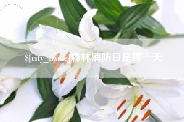 高密森林消防日是哪一天