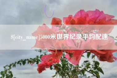 高密5000米世界纪录平均配速