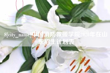高密中国消防救援学院2020年在山东招生计划表